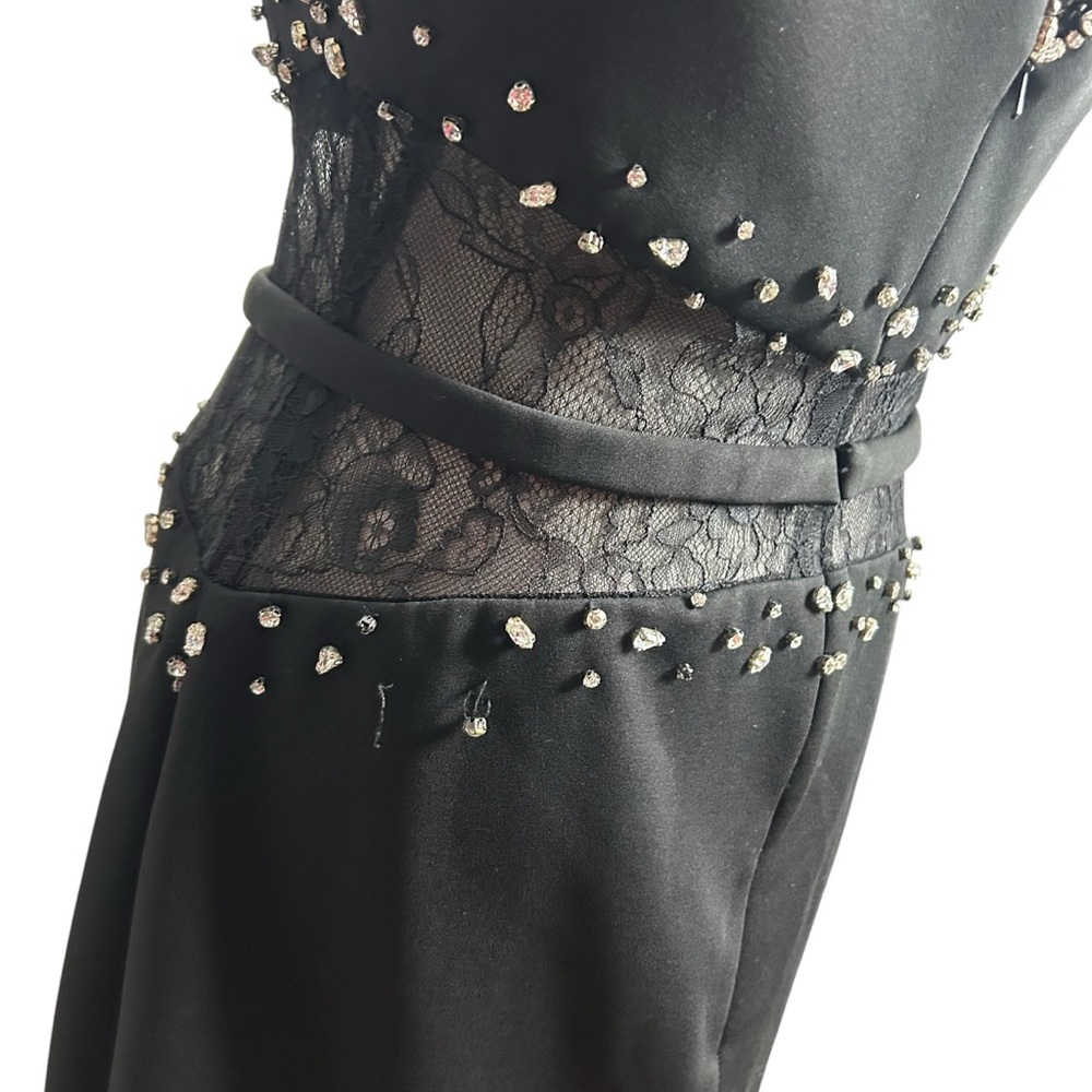 Basix Black Label Lace Beaded BodyCon Dress EUC SZ8 - Picture 6 of 10